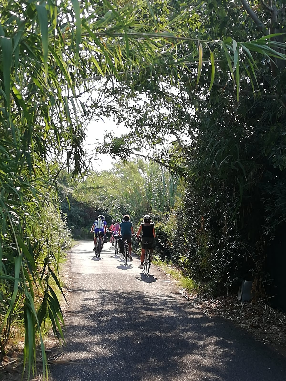 Bici