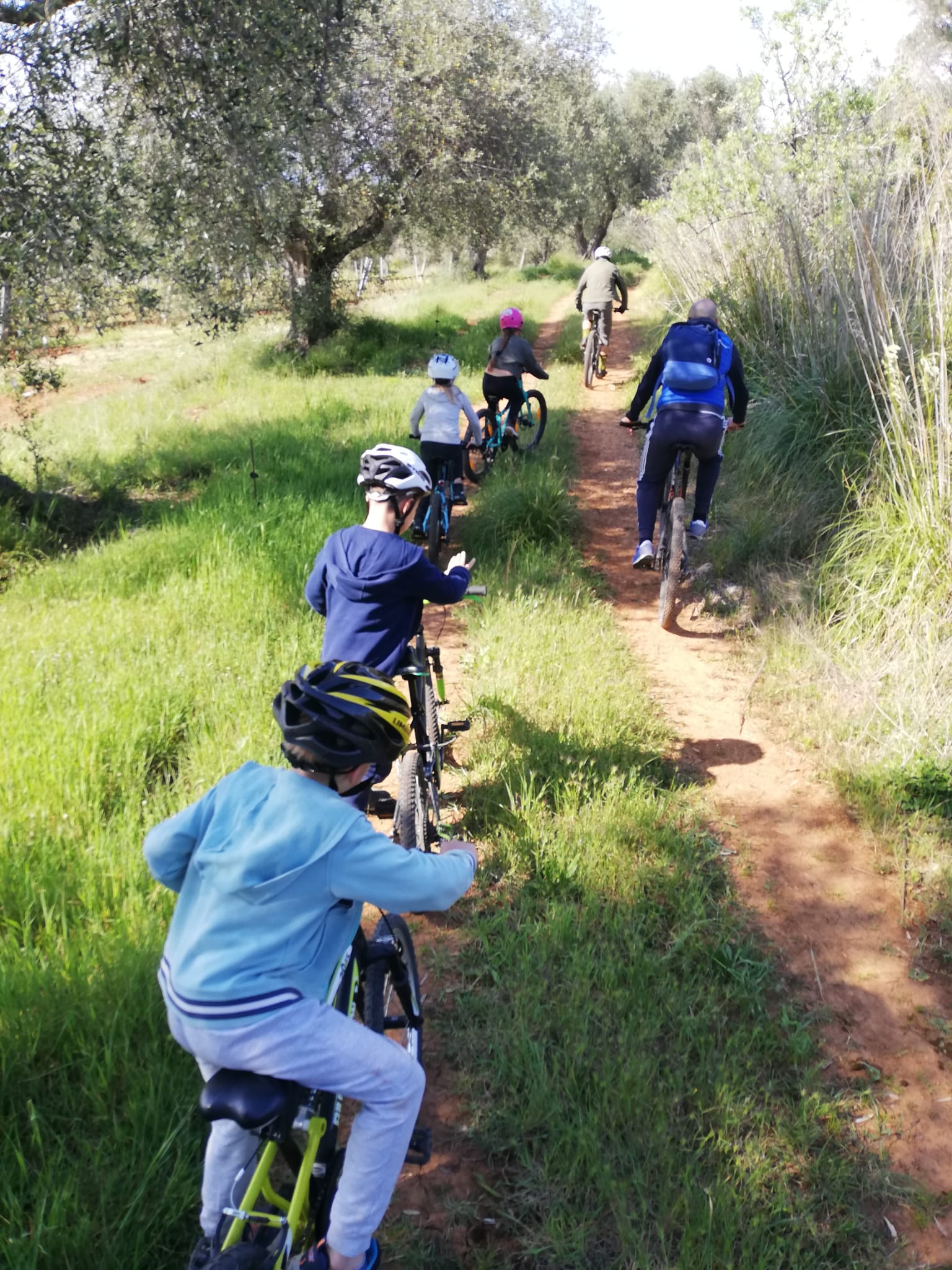 Turismo in bicicletta