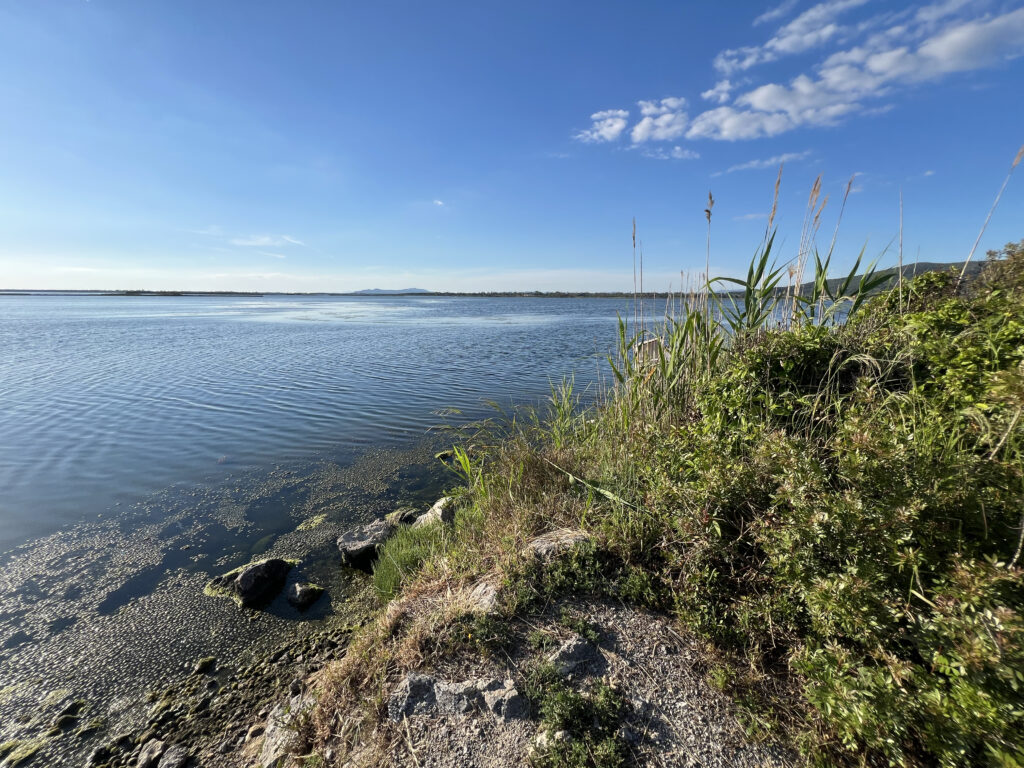 Laguna di Orbetello